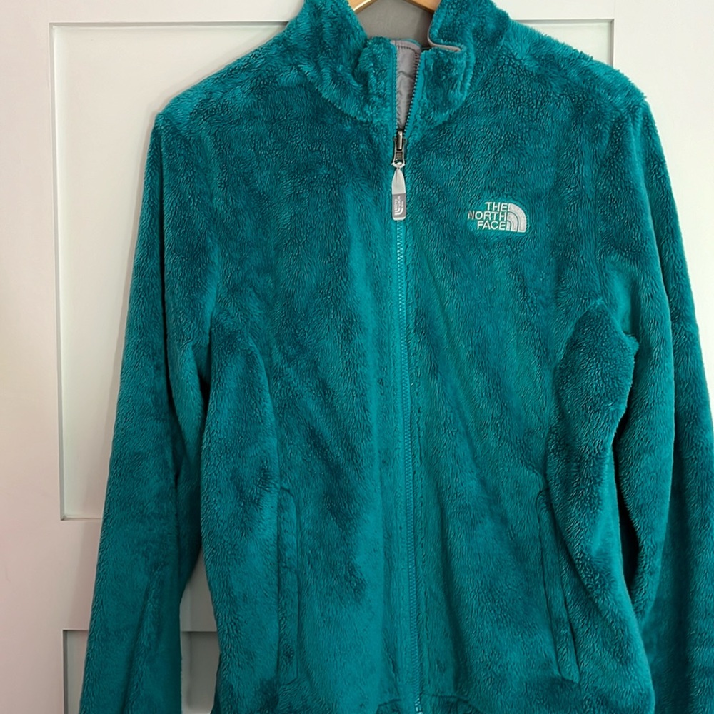 Fuzzy blue green north face jacket